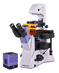 Микроскоп люминесцентный инвертированный цифровой MAGUS Lum VD500L Микроскоп люминесцентный инвертированный цифровой MAGUS Lum VD500L