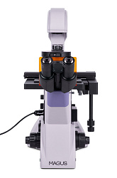 Микроскоп люминесцентный инвертированный цифровой MAGUS Lum VD500 LCD Микроскоп люминесцентный инвертированный цифровой MAGUS Lum VD500 LCD